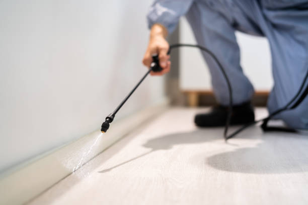 Licensed Termite Control service in Mount Sterling, IL - Nex Pest Control