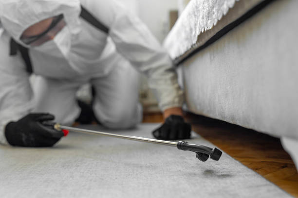 Professional Termite Control technician working in Mount Sterling, IL