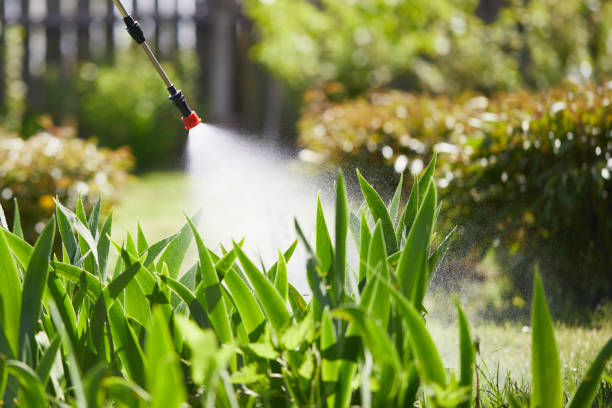 24/7 Emergency Termite Control experts in Mount Sterling, IL