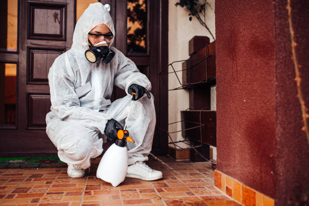 Reliable Termite Control contractor in Mount Sterling, IL by Nex Pest Control