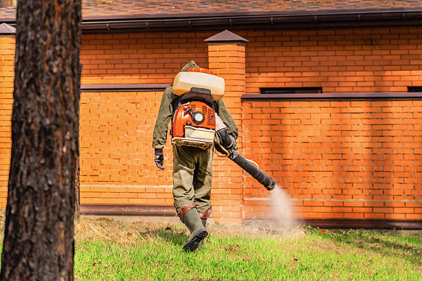Top rated local Termite Control specialists in Mount Sterling, IL